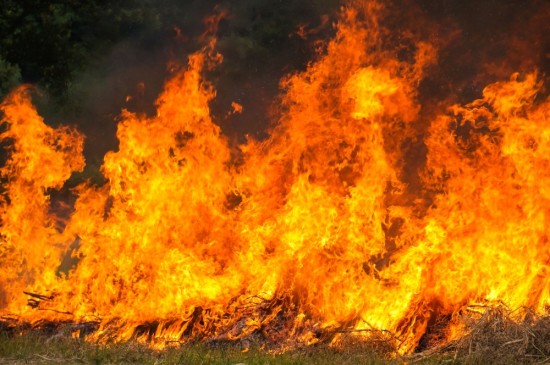 stubble-burning__